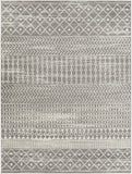 Tevazu TVZ-2387 Global Polypropylene Rug TVZ2387-912  100% Polypropylene 9' x 12'