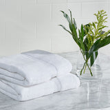 Safavieh Plush Bath Towel Set  TWL1000A-SET2