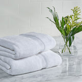 Safavieh Super Plush Bath Towel Set TWL1050A-SET2