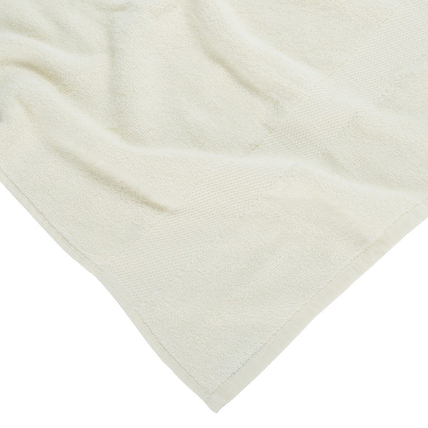 Safavieh Super Plush Bath Towel Set TWL1050B-SET2
