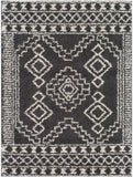 Taza shag TZS-2341 Global Polypropylene Rug