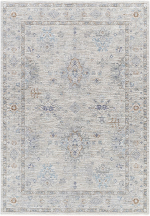 Virginia VGN-2300 Traditional Polyester, Polypropylene Rug VGN2300-8913  90% Polyester, 10% Polypropylene 8'9" x 13'
