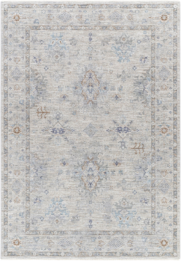 Virginia VGN-2300 Traditional Polyester, Polypropylene Rug VGN2300-8913  90% Polyester, 10% Polypropylene 8'9" x 13'