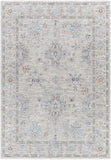 Virginia VGN-2300 Traditional Polyester, Polypropylene Rug VGN2300-8913  90% Polyester, 10% Polypropylene 8'9" x 13'