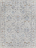 Virginia VGN-2300 Traditional Polyester, Polypropylene Rug VGN2300-7101010  90% Polyester, 10% Polypropylene 7'10" x 10'10"