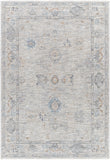 Virginia VGN-2301 Traditional Polyester, Polypropylene Rug VGN2301-8913  90% Polyester, 10% Polypropylene 8'9" x 13'