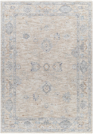 Virginia VGN-2302 Traditional Polyester, Polypropylene Rug VGN2302-8913  90% Polyester, 10% Polypropylene 8'9" x 13'