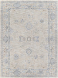 Virginia VGN-2302 Traditional Polyester, Polypropylene Rug VGN2302-7101010  90% Polyester, 10% Polypropylene 7'10" x 10'10"