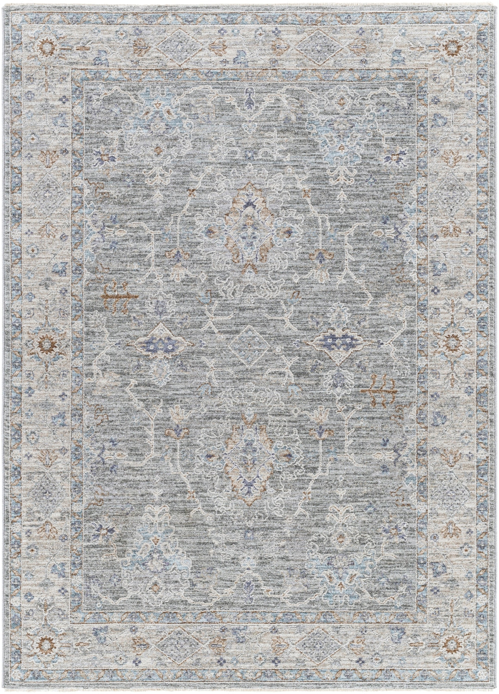 Virginia VGN-2303 Traditional Polyester, Polypropylene Rug VGN2303-2277  90% Polyester, 10% Polypropylene 2'2" x 7'7"