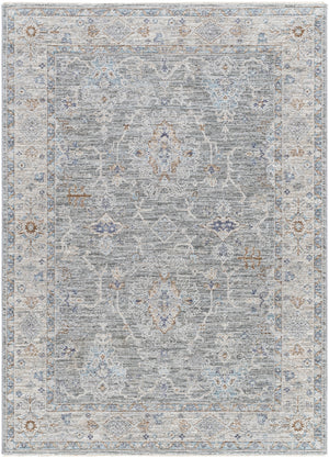 Virginia VGN-2303 Traditional Polyester, Polypropylene Rug VGN2303-8913  90% Polyester, 10% Polypropylene 8'9" x 13'