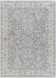 Virginia VGN-2303 Traditional Polyester, Polypropylene Rug VGN2303-8913  90% Polyester, 10% Polypropylene 8'9" x 13'