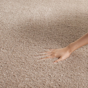 Safavieh Velvet VSG169 Rug