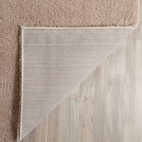 Safavieh Velvet VSG169 Rug