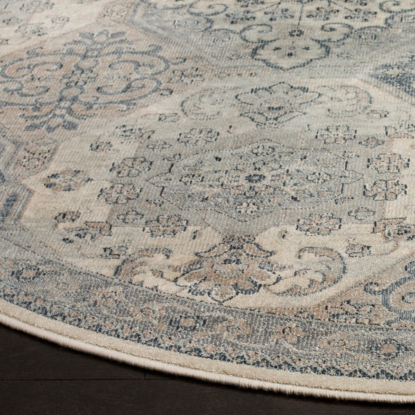 Safavieh Vintage Vtg128 744 Power Loomed Rug