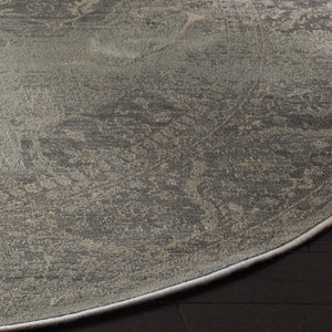 Safavieh Vintage Vtg159 766 Power Loomed Rug