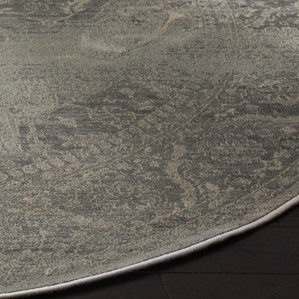 Safavieh Vintage Vtg159 766 Power Loomed Rug