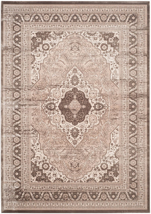 Safavieh Vintage VTG264 Power Loomed Rug