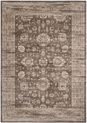 Safavieh Vintage VTG431 Power Loomed Rug