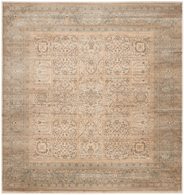 Safavieh Vintage VTG570 Power Loomed Rug