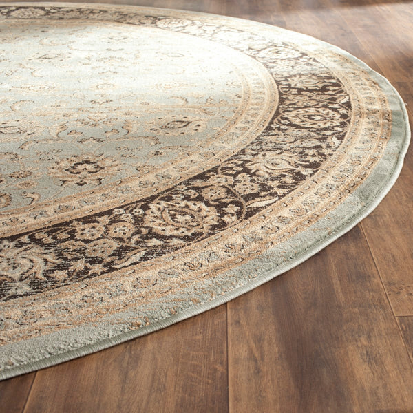 Safavieh Vintage VTG571 Power Loomed Rug