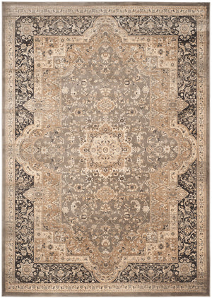 Safavieh Vintage VTG574 Power Loomed Rug