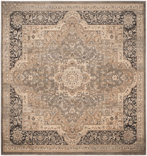 Safavieh Vintage VTG574 Power Loomed Rug