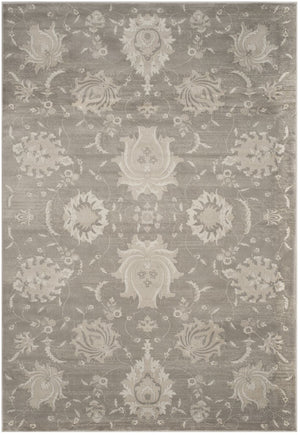 Safavieh Vintage VTG579 Power Loomed Rug