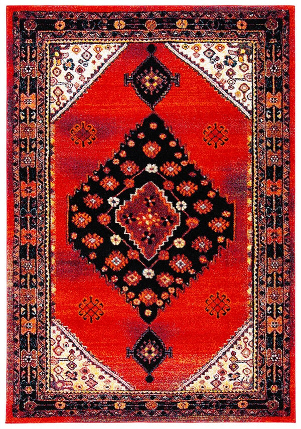 Safavieh Vintage Hamadan 202 Power Loomed Polypropylene Transitional Rug VTH202Q-9