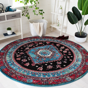 Safavieh Vintage Hamadan 204 Power Loomed Polypropylene Transitional Rug VTH204K-9