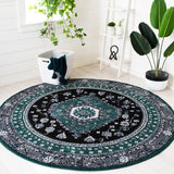 Safavieh Vintage Hamadan 204 Power Loomed Polypropylene Transitional Rug VTH204Y-9