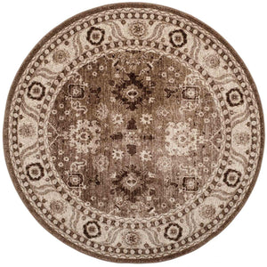 Safavieh Vintage VTH214 Power Loomed Rug