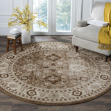 Safavieh Vintage Hamadan 214 Power Loomed Polypropylene Transitional Rug VTH214T-9SQ