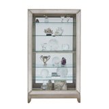 Antique Style 5 Shelf Mirrored Curio Cabinet in Aged Silver