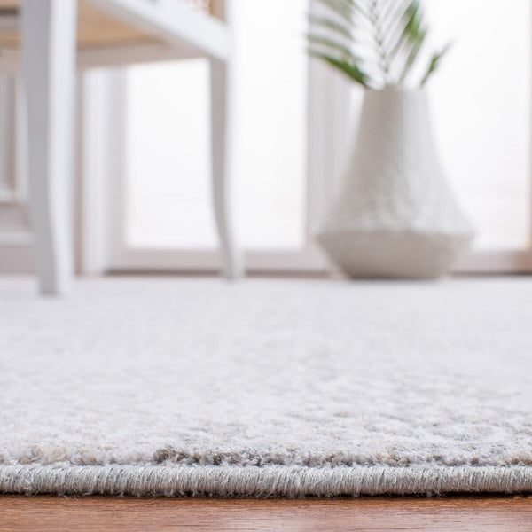 Safavieh Webster 316 Power Loomed 75% Polyester + 25% Viscose Transitional Rug WBS316G-7SQ