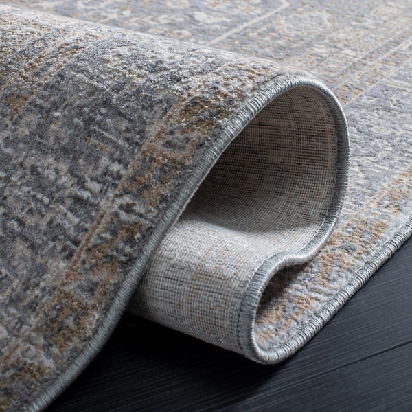 Safavieh Webster 320 Power Loomed 75% Polyester + 25% Viscose Transitional Rug WBS320G-7SQ