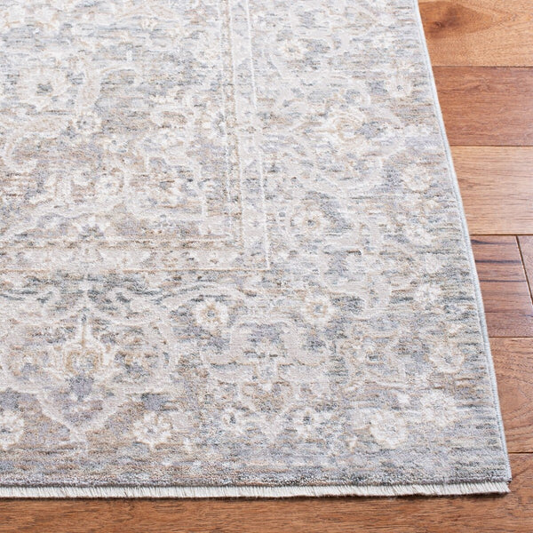 Safavieh Webster 324 Power Loomed 75% Polyester + 25% Viscose Transitional Rug WBS324G-7SQ