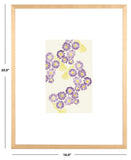 Safavieh Clematis Constellation, 16 X 20 Inch, Purple/Yellow, Framed Wall Art Purple / Yellow Paper / Polystyrene Frame / Perpex Glass WLA2064A