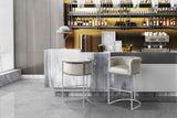 Finley Taupe Bar Stool with Chrome Legs