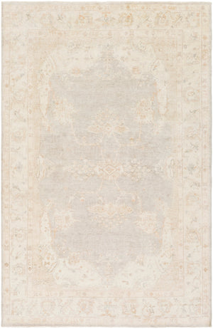 Westchester WTC-8005 Traditional Wool Rug WTC8005-913 Ivory, Taupe, Light Gray, Seafoam 100% Wool 9' x 13'