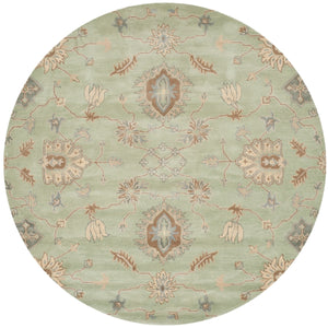 Safavieh Wyd202 Wool Rug WYD202A-24