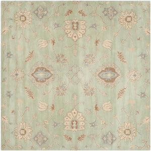 Safavieh Wyd202 Wool Rug WYD202A-24