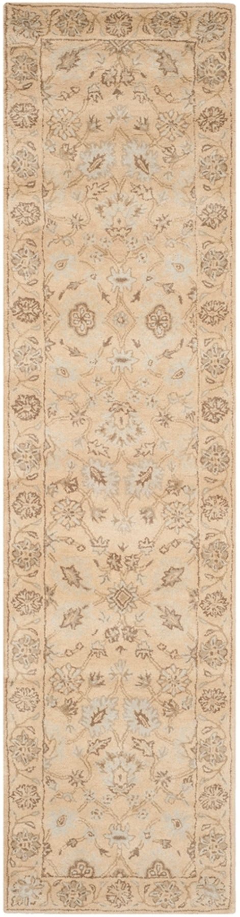 Safavieh Wyndham WYD205 Rug