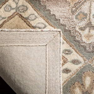 Safavieh Wyndham WYD379 Hand Tufted Rug