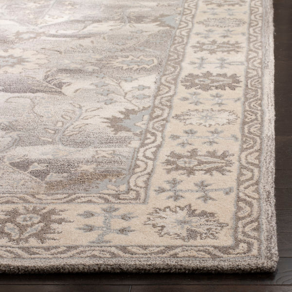 Safavieh Wyndham WYD512 Hand Tufted Rug