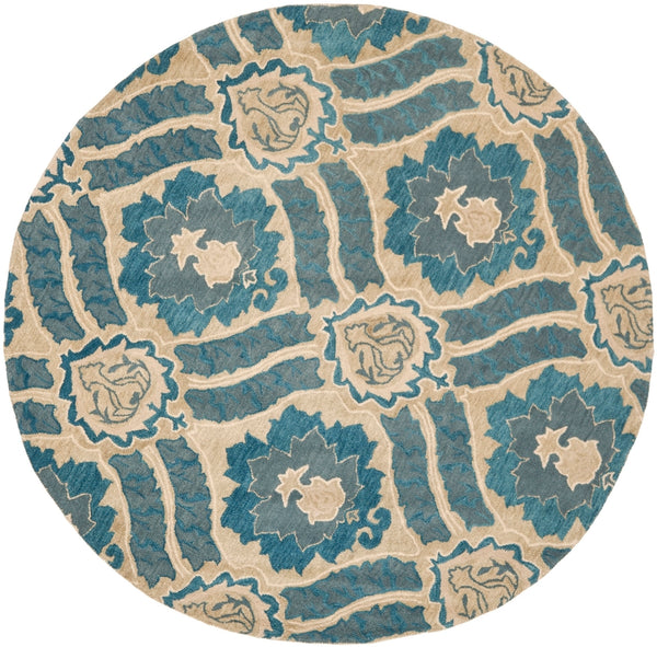 Safavieh Wyndham WYD616 Rug