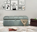 Chagit Storage Ottoman