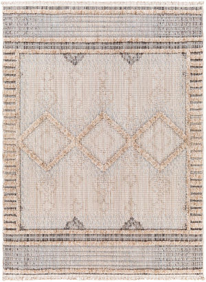Surya Zaragoza Global ZRZ-2301 Rug ZRZ2301-9212