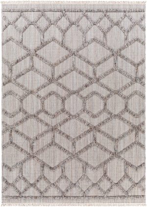 Surya Zaragoza Modern ZRZ-2304 Rug ZRZ2304-9212