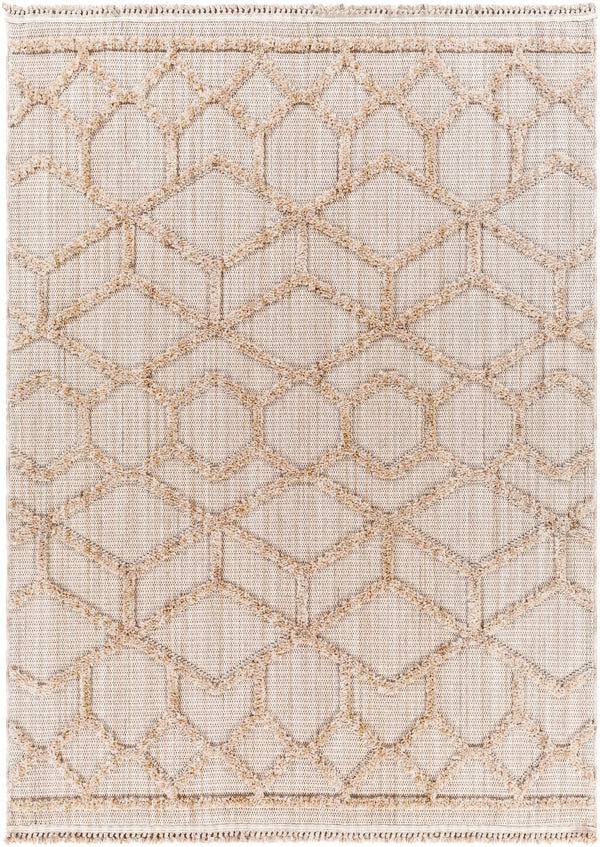 Surya Zaragoza Modern ZRZ-2309 Rug ZRZ2309-9212