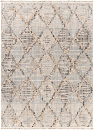 Surya Zaragoza Global ZRZ-2311 Rug ZRZ2311-9212